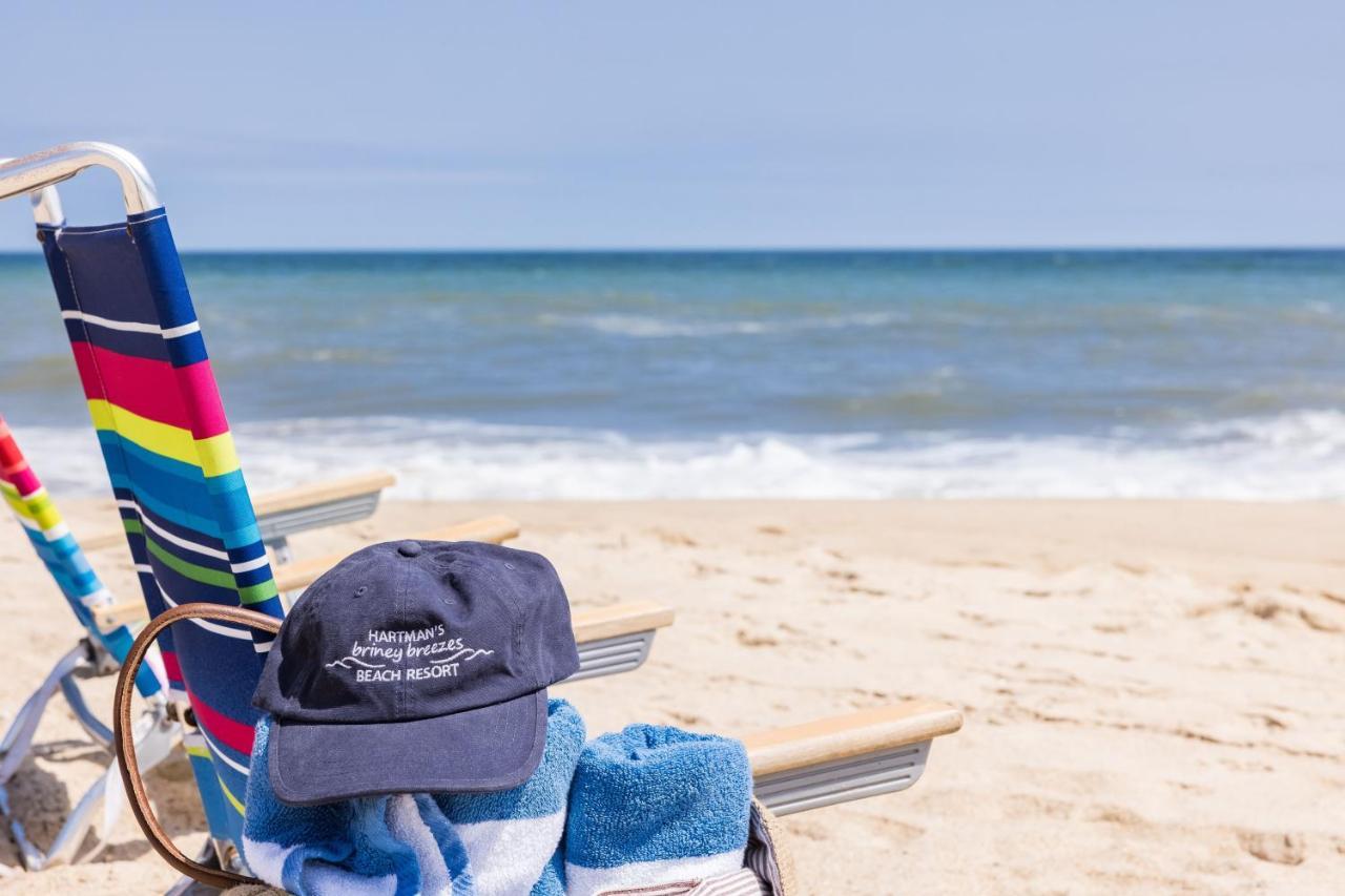 Hartman'S Briney Breezes Beach Resort Montauk Eksteriør billede