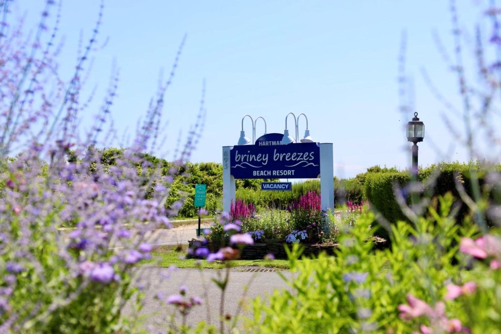 Hartman'S Briney Breezes Beach Resort Montauk Eksteriør billede